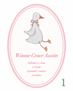 Custom Baby Girl Birth Announcement Art Print | Multiple Designs Available