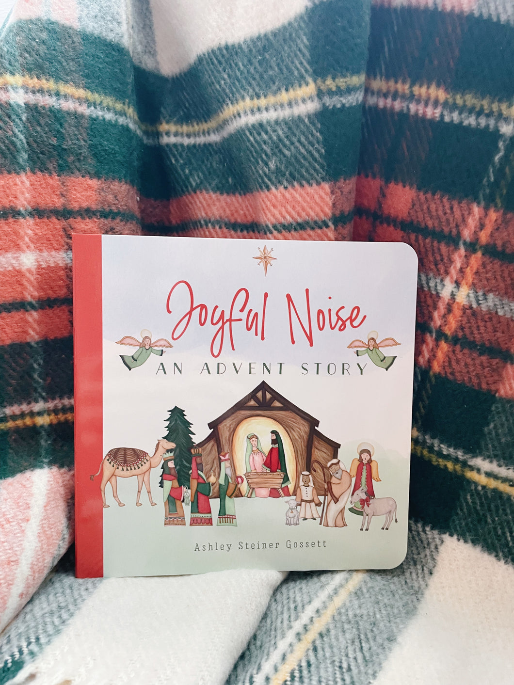 Joyful Noise: An Advent Story Board Book